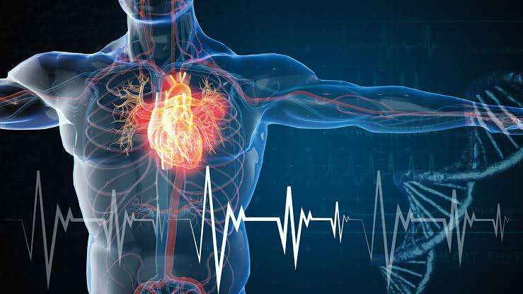 The Rise of &ldquo;Cardio-Metabolic&rdquo; Medicine